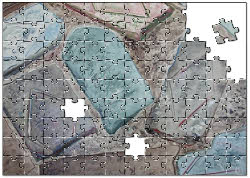 Study in Greys Puzzle