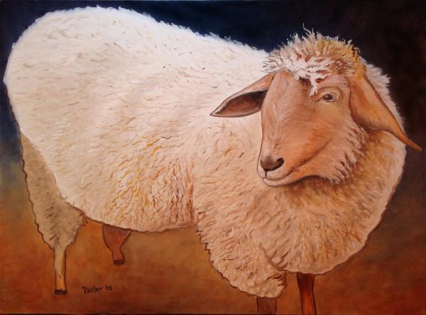 Shaggy Sheep Art Print by NC Artist Scott Plaster