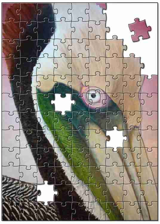 Pelican Peeking Puzzle