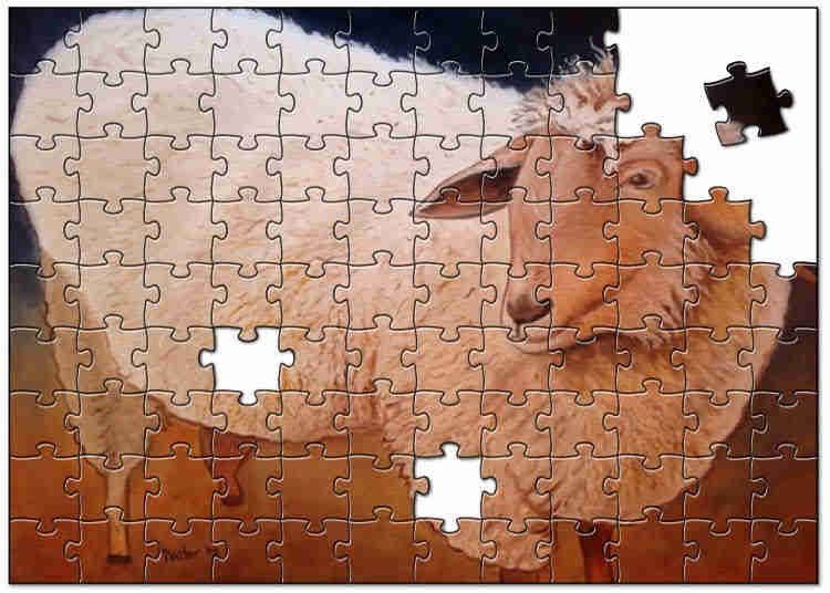 Shagy Sheep Puzzle