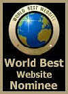 NC Whimsical  Artist Scott Plaster's World's Best Website Nominee